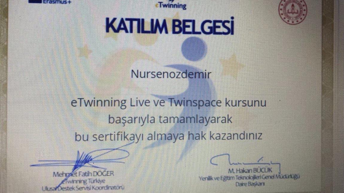 e-Twinning Live ve Twinspace Kursu Sertifikamız